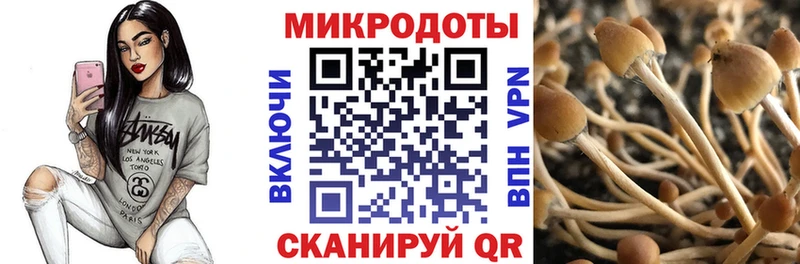 что такое Верея Псилоцибиновые грибы Magic Shrooms